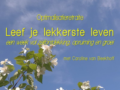 Je Eigen Wijze Ware Weg
